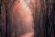 强劲对手碰撞，全力以赴争夺胜利