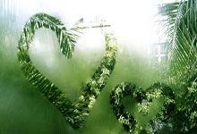 意天空：若拉斯帕多里离队，那不勒斯考虑引进矿工边锋凯文