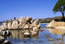 意天空：若拉斯帕多里离队，那不勒斯考虑引进矿工边锋凯文