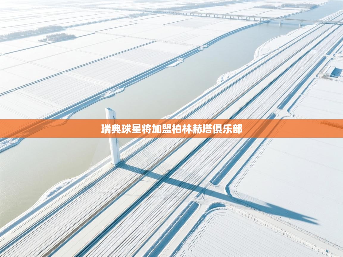 瑞典球星将加盟柏林赫塔俱乐部  第1张