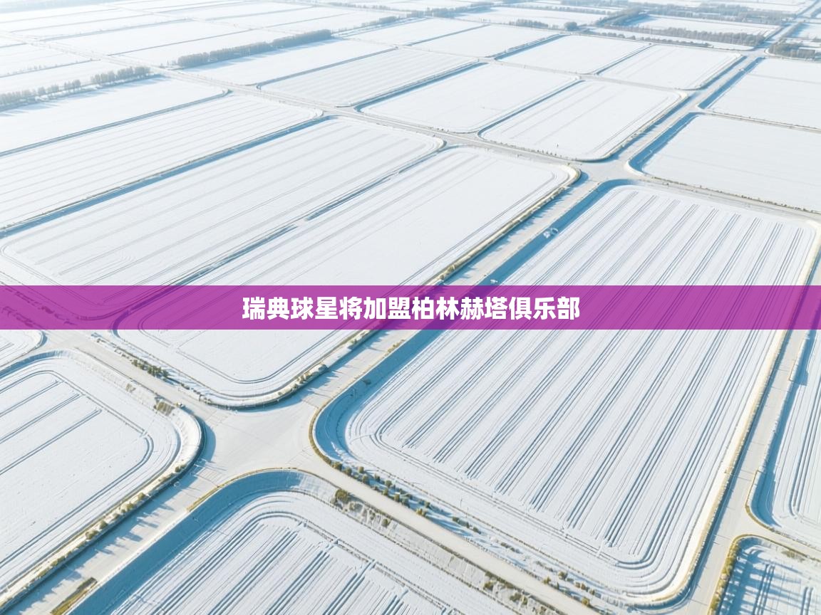 瑞典球星将加盟柏林赫塔俱乐部  第2张