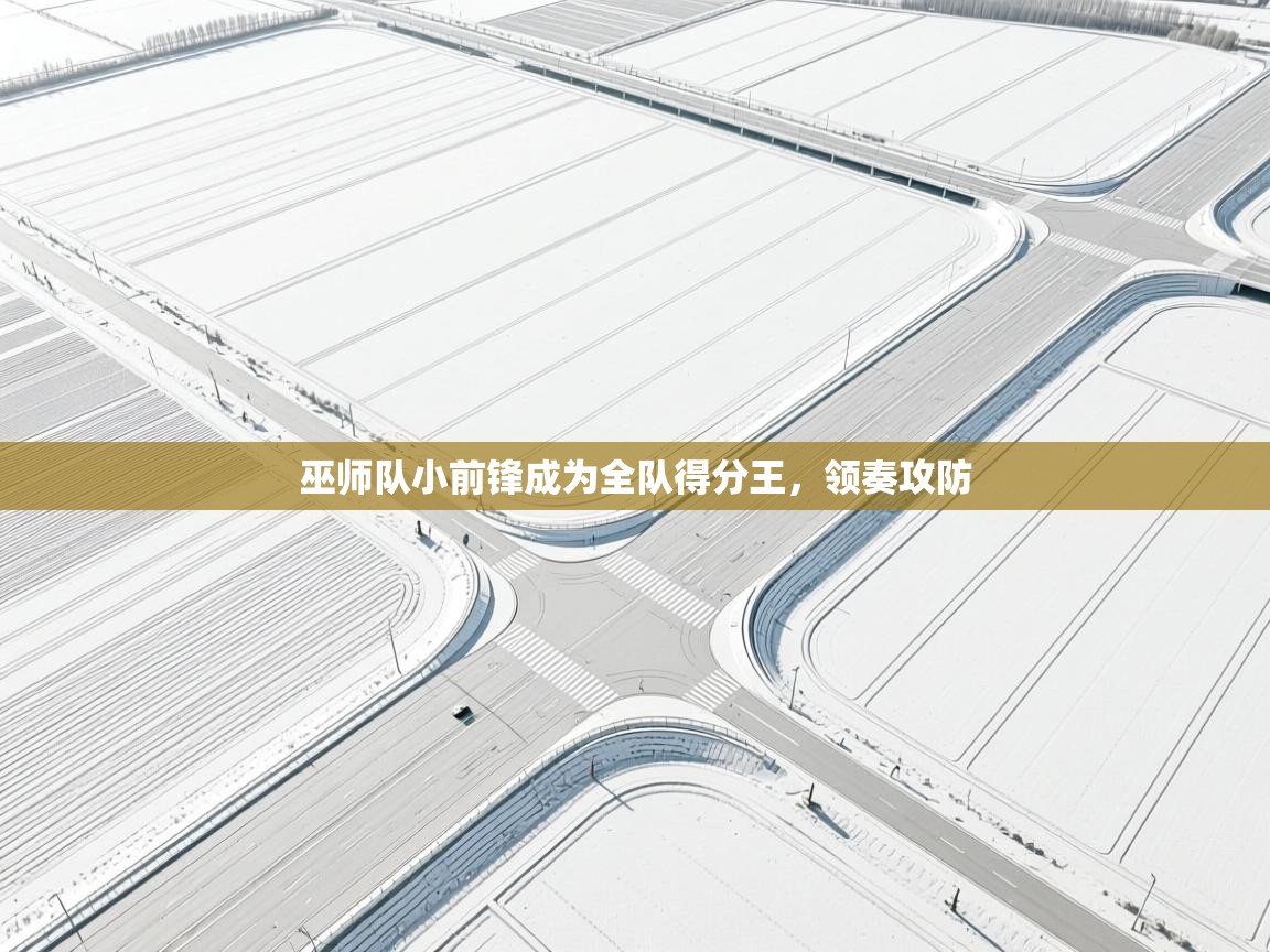 巫师队小前锋成为全队得分王，领奏攻防  第2张