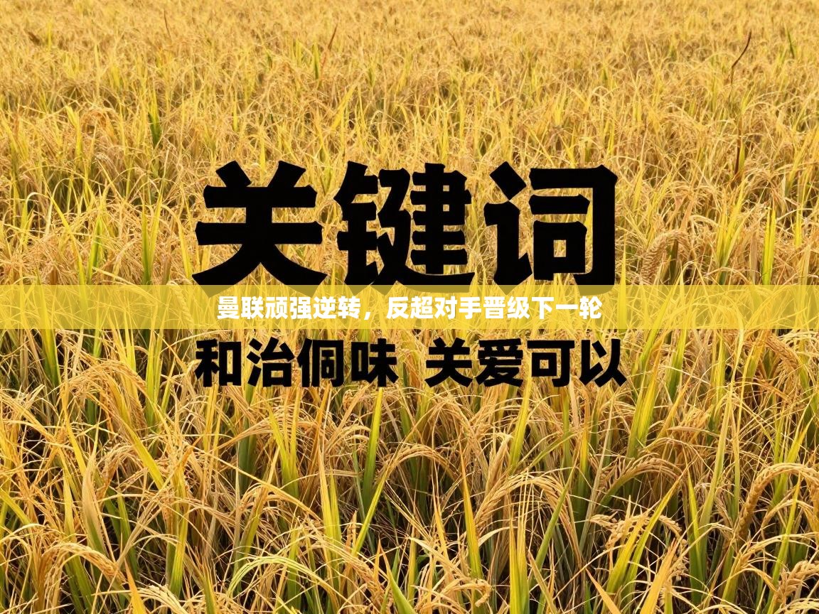 曼联顽强逆转，反超对手晋级下一轮  第2张