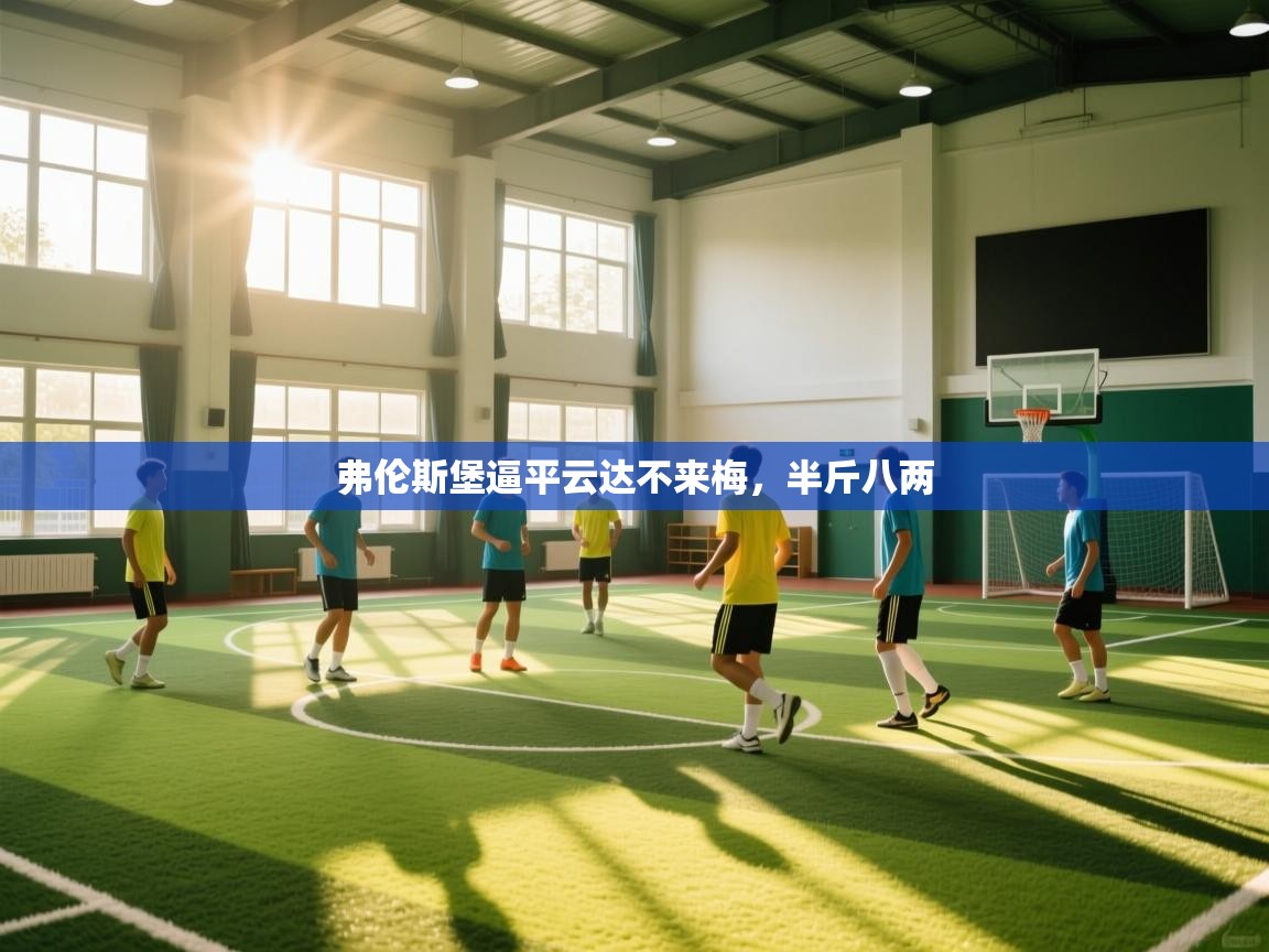 弗伦斯堡逼平云达不来梅，半斤八两